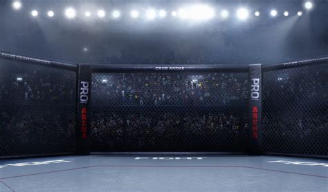 Wedden op de UFC (2024) Zet in op Ultimate Fighting .